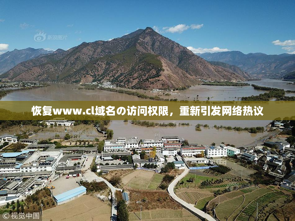 恢复www.cl域名の访问权限，重新引发网络热议