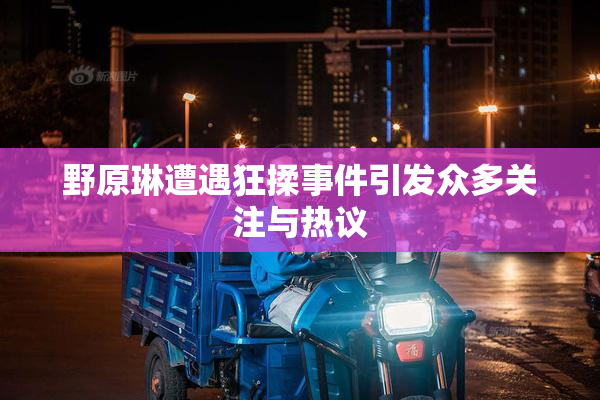 野原琳遭遇狂揉事件引发众多关注与热议