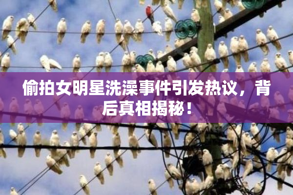 偷拍女明星洗澡事件引发热议，背后真相揭秘！