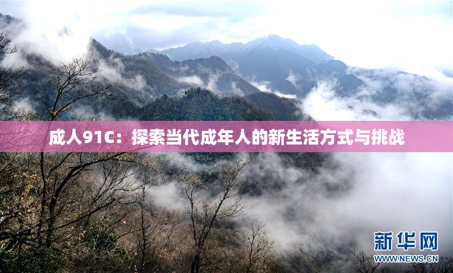 成人91C：探索当代成年人的新生活方式与挑战