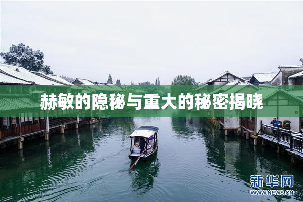 赫敏的隐秘与重大的秘密揭晓