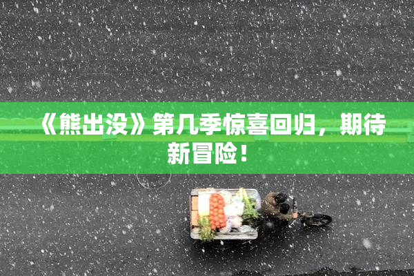 《熊出没》第几季惊喜回归，期待新冒险！