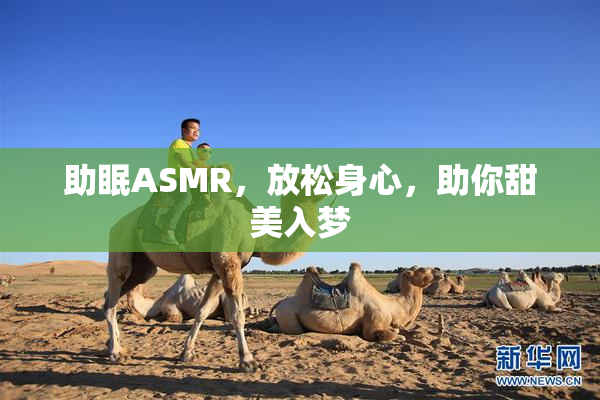 助眠ASMR，放松身心，助你甜美入梦