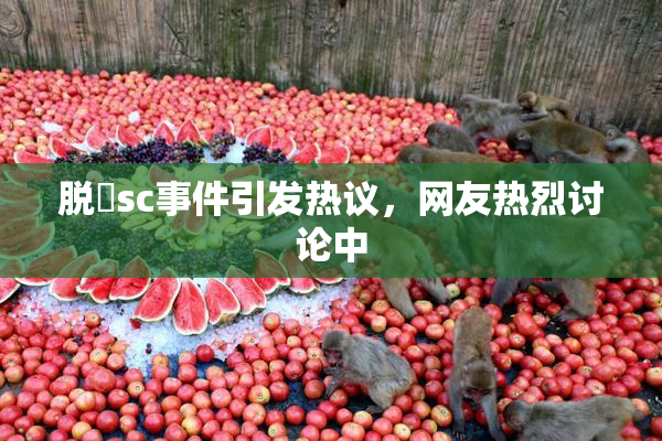 脱糞sc事件引发热议，网友热烈讨论中