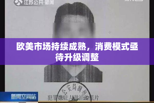 欧美市场持续成熟，消费模式亟待升级调整