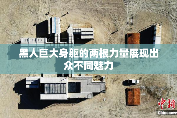 黑人巨大身躯的两根力量展现出众不同魅力