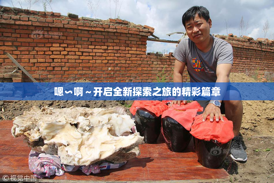 嗯∽啊～开启全新探索之旅的精彩篇章