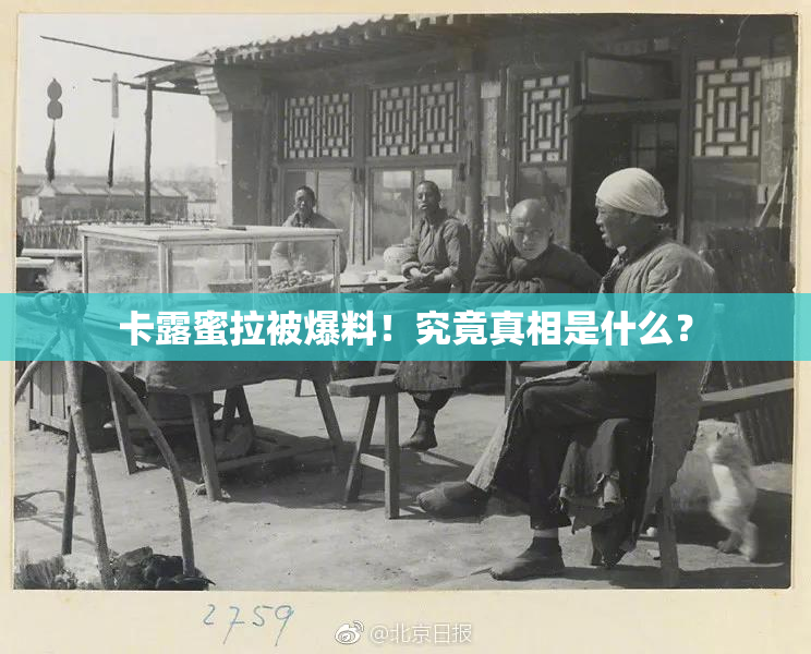 卡露蜜拉被爆料！究竟真相是什么？