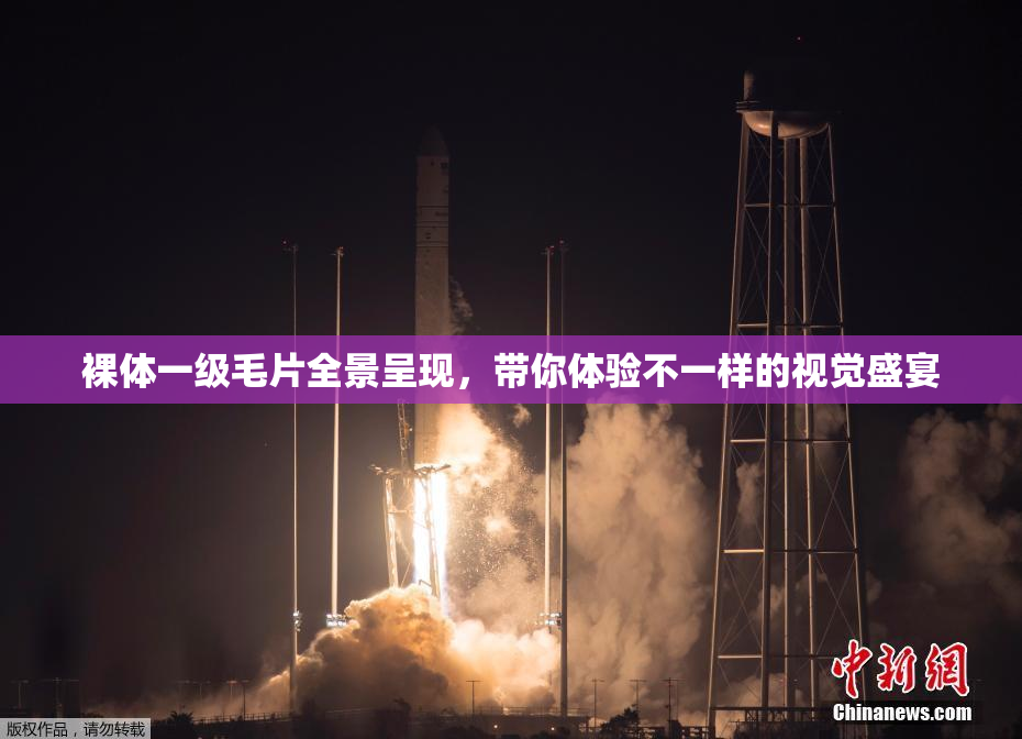 裸体一级毛片全景呈现，带你体验不一样的视觉盛宴