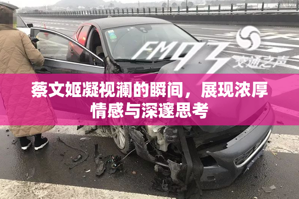 蔡文姬凝视澜的瞬间，展现浓厚情感与深邃思考
