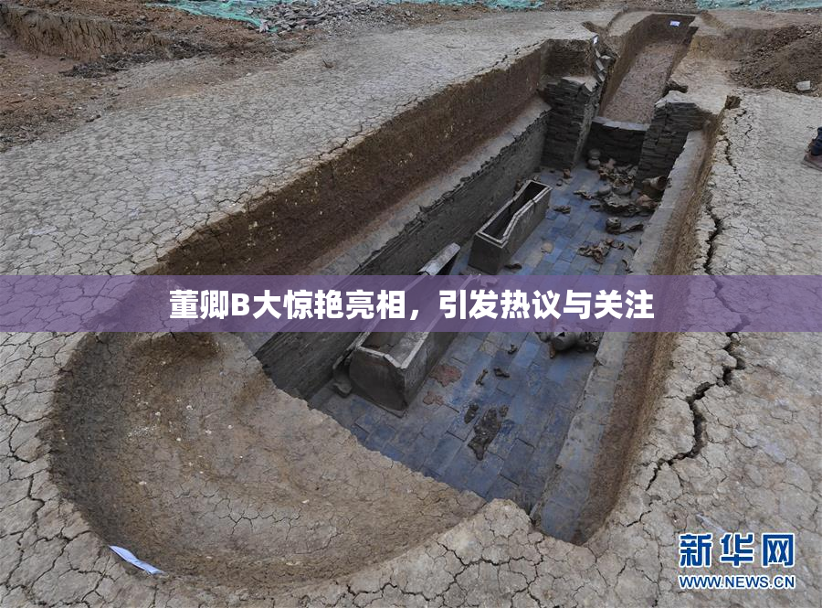董卿B大惊艳亮相，引发热议与关注