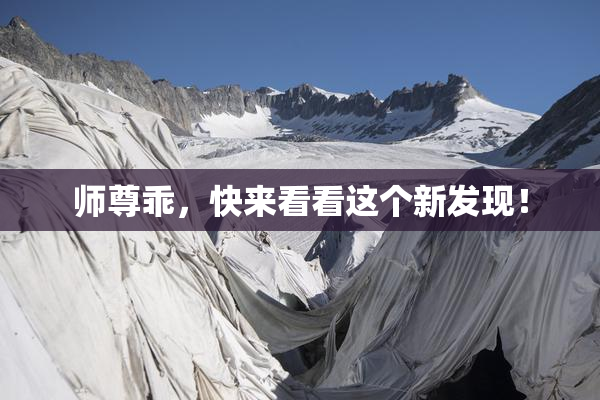 师尊乖，快来看看这个新发现！