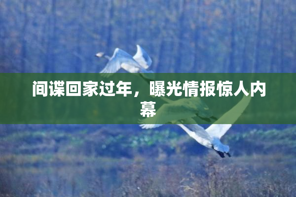 间谍回家过年，曝光情报惊人内幕