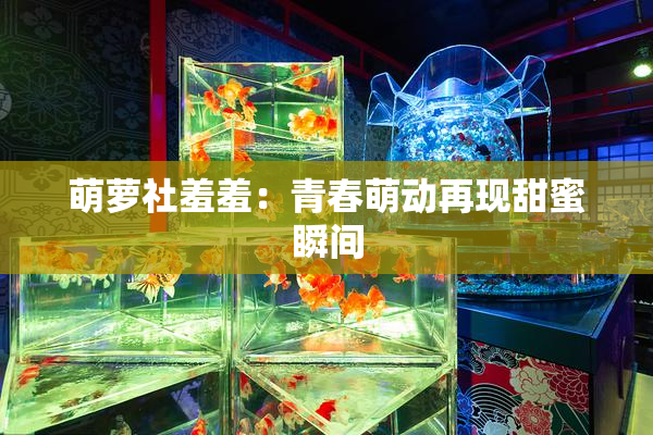 萌萝社羞羞：青春萌动再现甜蜜瞬间