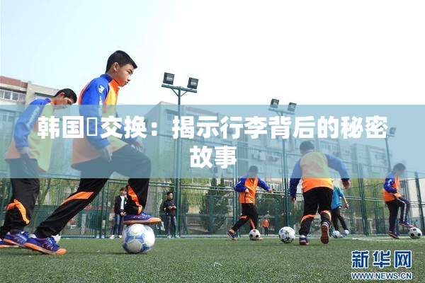 韩国巜交换：揭示行李背后的秘密故事