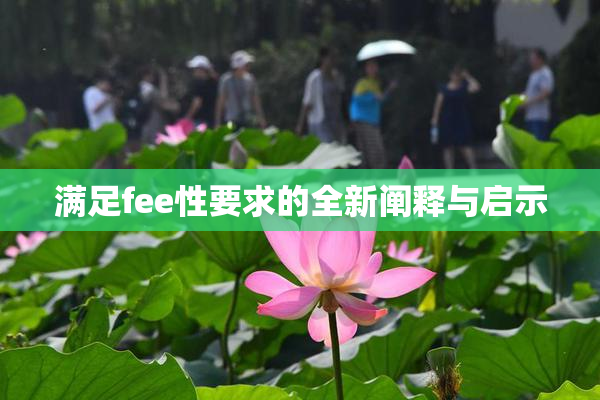 满足fee性要求的全新阐释与启示