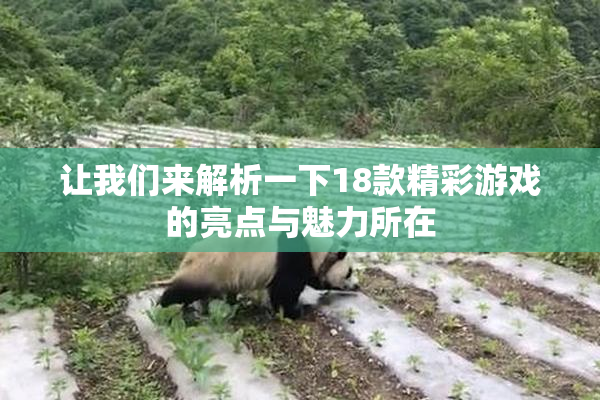 让我们来解析一下18款精彩游戏的亮点与魅力所在