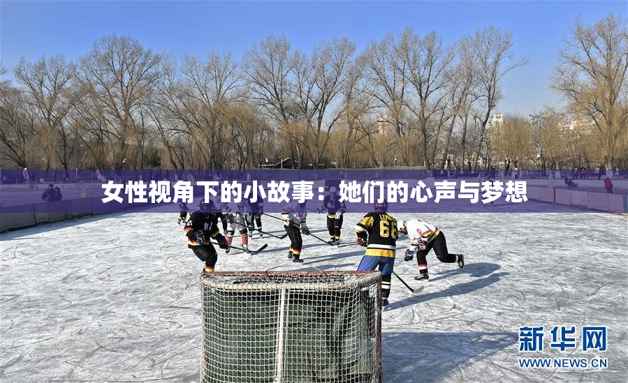 女性视角下的小故事：她们的心声与梦想