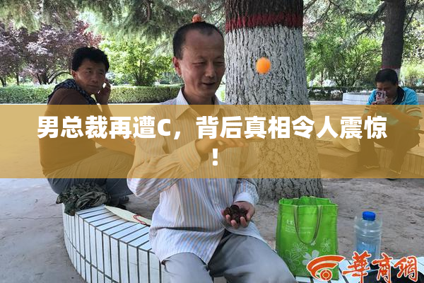 男总裁再遭C，背后真相令人震惊！