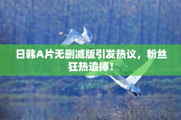 日韩A片无删减版引发热议，粉丝狂热追捧！