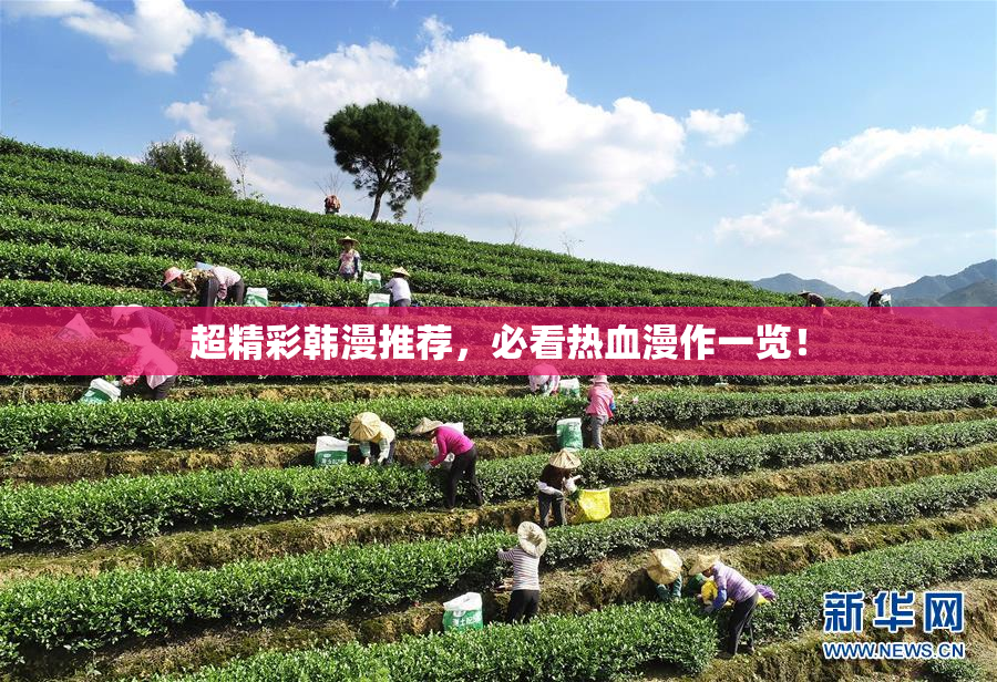 超精彩韩漫推荐，必看热血漫作一览！