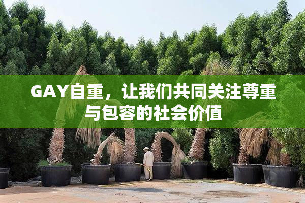 GAY自重，让我们共同关注尊重与包容的社会价值