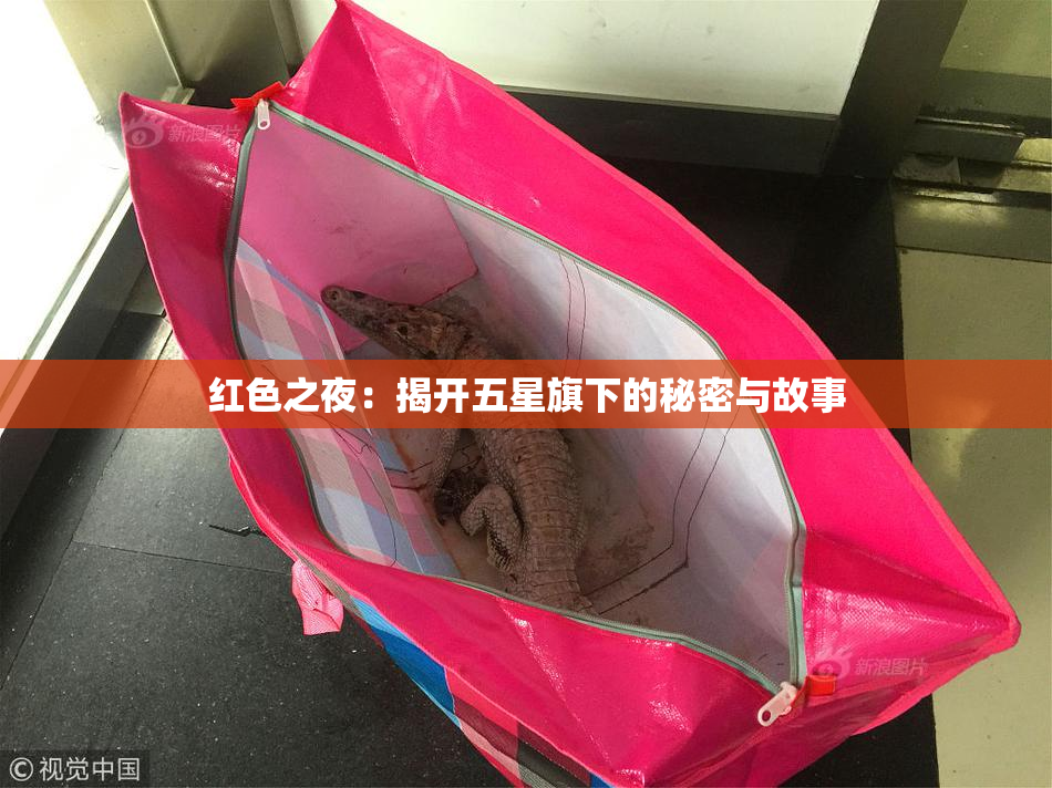 红色之夜：揭开五星旗下的秘密与故事