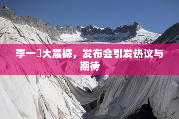 李一挏大震撼，发布会引发热议与期待