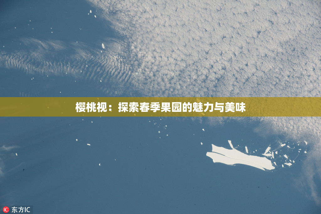 樱桃视：探索春季果园的魅力与美味
