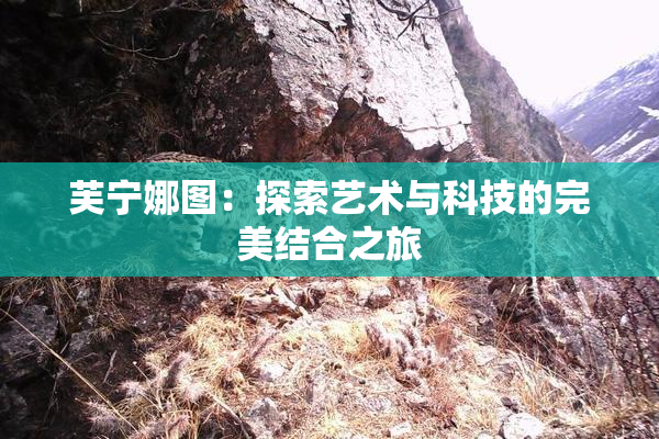 芙宁娜图：探索艺术与科技的完美结合之旅