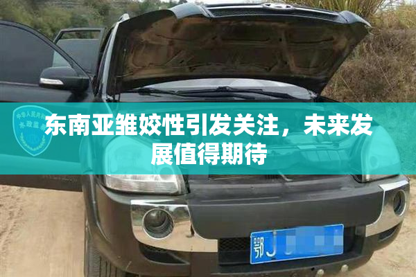 东南亚雏姣性引发关注，未来发展值得期待