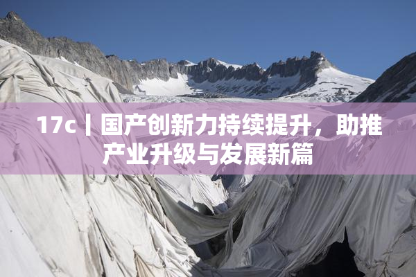 17c丨国产创新力持续提升，助推产业升级与发展新篇