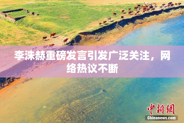 李洙赫重磅发言引发广泛关注，网络热议不断