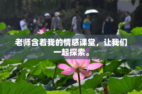 老师含着我的情感课堂，让我们一起探索。
