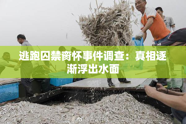 逃跑囚禁脔怀事件调查：真相逐渐浮出水面