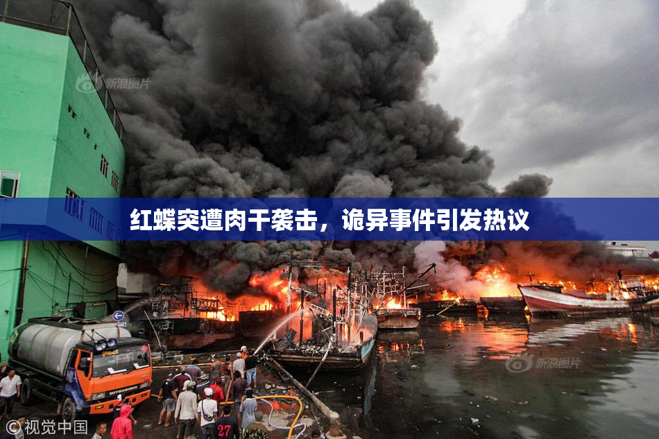 红蝶突遭肉干袭击，诡异事件引发热议