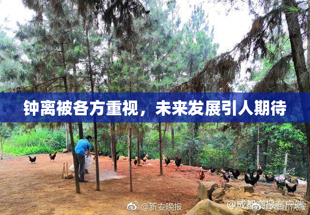 钟离被各方重视，未来发展引人期待