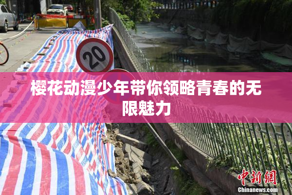樱花动漫少年带你领略青春的无限魅力