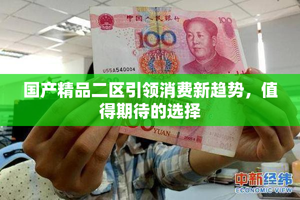 国产精品二区引领消费新趋势，值得期待的选择