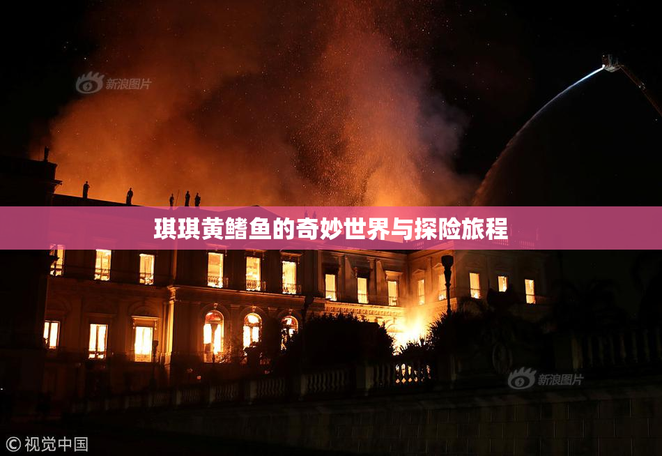 琪琪黄鳍鱼的奇妙世界与探险旅程