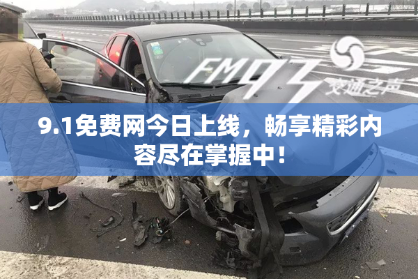 9.1免费网今日上线，畅享精彩内容尽在掌握中！