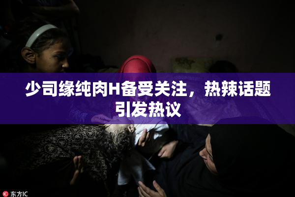 少司缘纯肉H备受关注，热辣话题引发热议