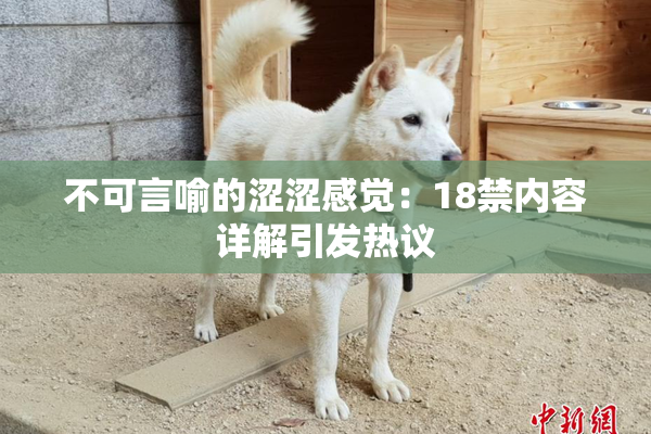 不可言喻的涩涩感觉：18禁内容详解引发热议