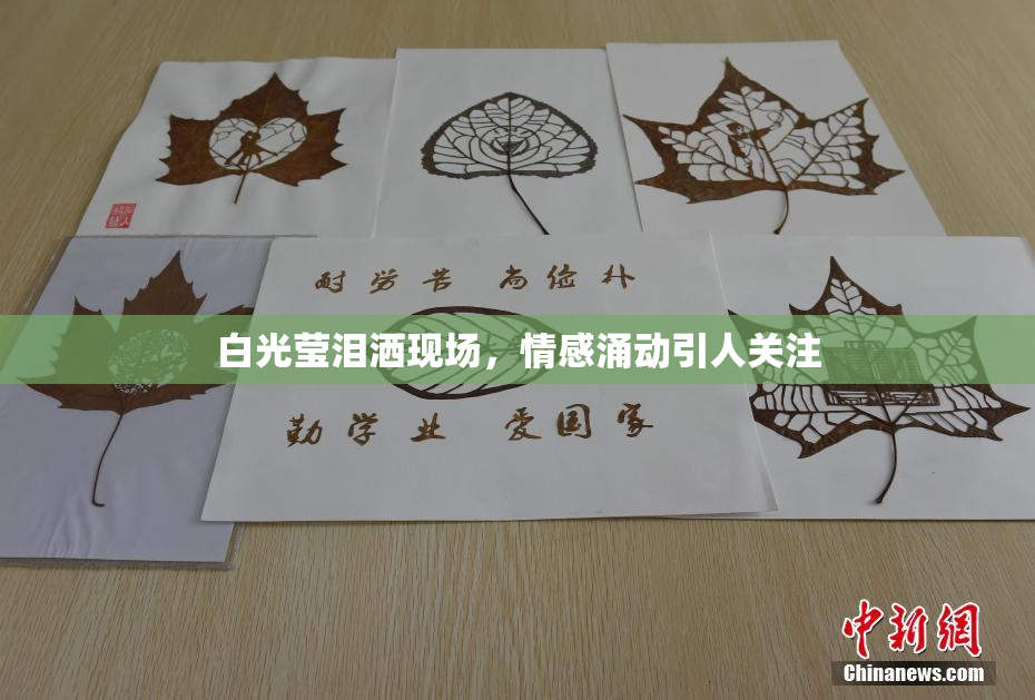 白光莹泪洒现场，情感涌动引人关注