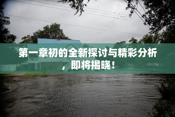 第一章初的全新探讨与精彩分析，即将揭晓！