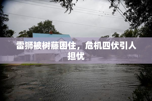 雷狮被树藤困住，危机四伏引人担忧