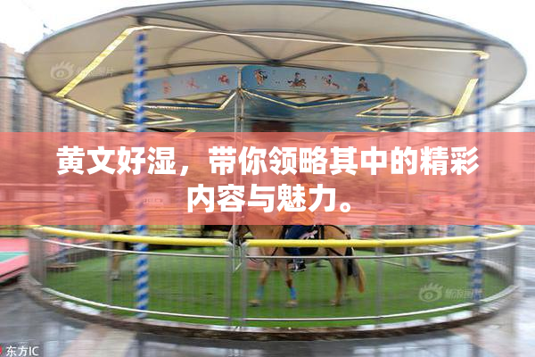 黄文好湿，带你领略其中的精彩内容与魅力。