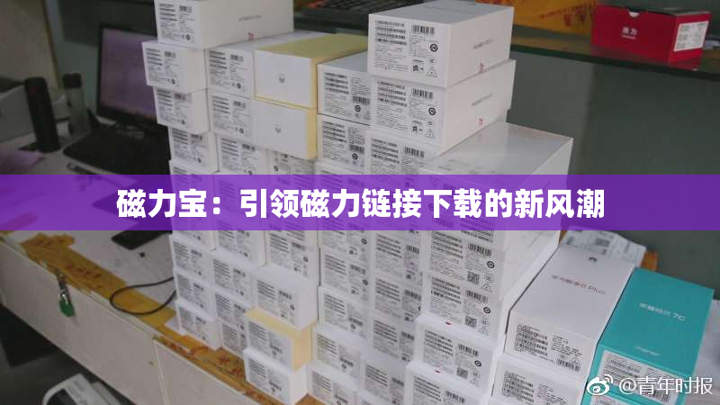 磁力宝：引领磁力链接下载的新风潮