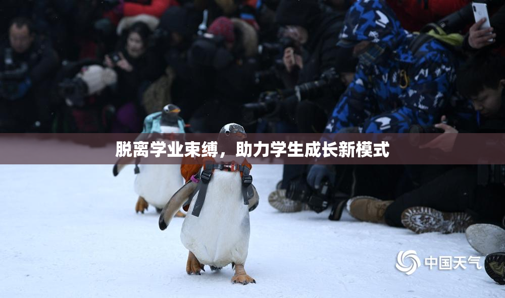 脱离学业束缚，助力学生成长新模式