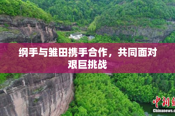 纲手与雏田携手合作，共同面对艰巨挑战